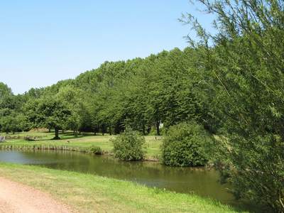 Etangs des 7 fontaines (fishing)