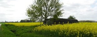 Vue d'un bunker, territoire des Weppes